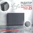 Біметалевий радіатор ASG (Silver), Колір: Сірий, Висота: 500, Кількість секцій: За секцію, зображення 2